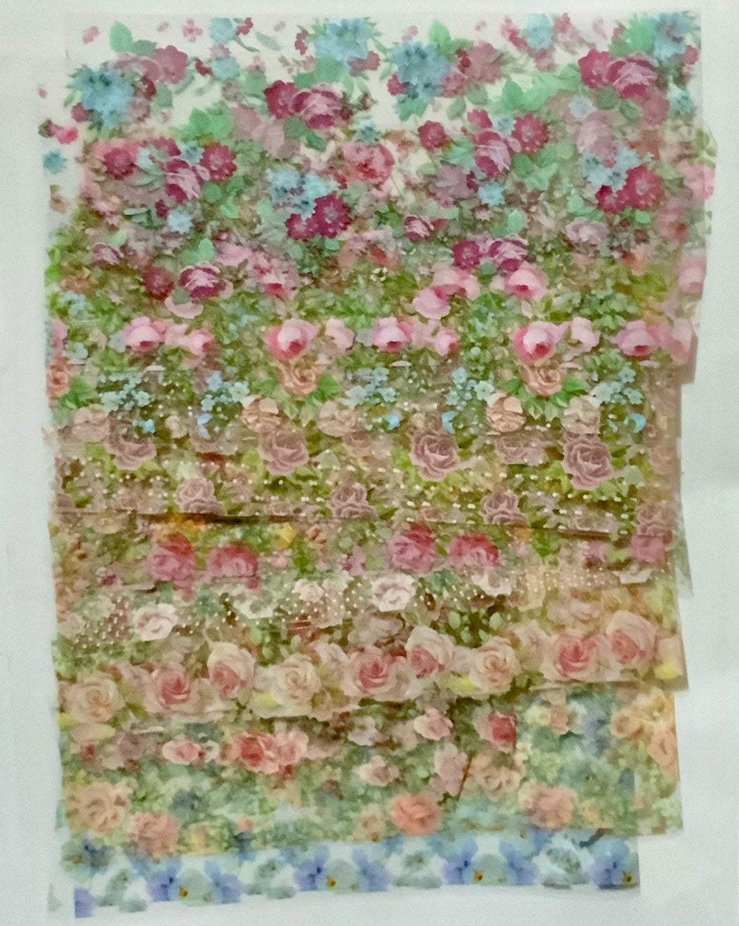 FOGLI MIRROR