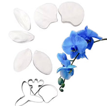 Load image into Gallery viewer, CUTTER +  VENATORE ORCHIDEA
