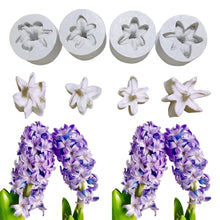 Cargar imagen en el visor de la galería, KIT VENATORI PER FIORI CENTAUREA CYANUS &amp; GIACINTO
