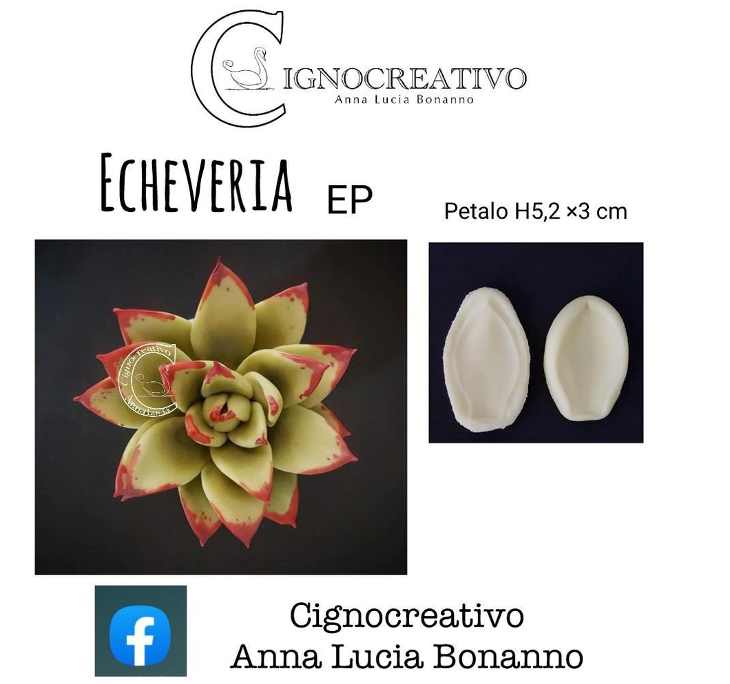 VÉNATEUR POUR USINE DE GRAISSE ECHEVERIA EP